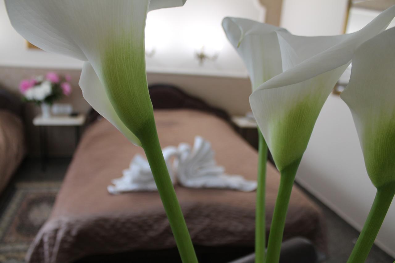 Royal Family Apartment Nis Luaran gambar